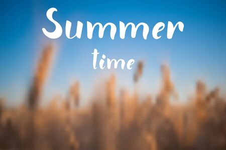 Summer time hand lettering text on nature background with wheat field for greeting card or banner. Vector 10のイラスト素材
