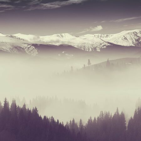 Winter landscape with beautiful fog in forest on hill, mountains on backgroundÑ Vintage stylization, retro film filterの写真素材
