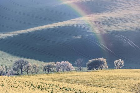 Rural landscape with agricultural fields and trees, rainbow over farmland. Vintage stylization, retro film filterの写真素材