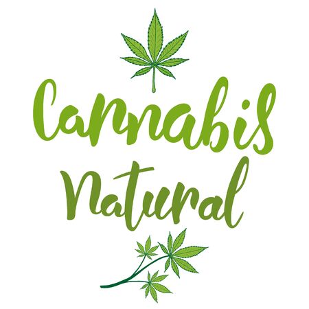 Cannabis natural hand lettering text and green leaves of marijuana, vectorのイラスト素材