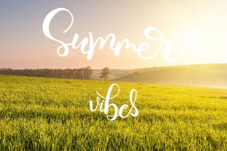 Summer landscape with morning sunny meadow and hand lettering text summer vibes, seasonal backgroundの写真素材