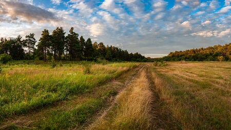 Summer landscape with road through the meadow and beautiful sky over forest, panoramaの写真素材