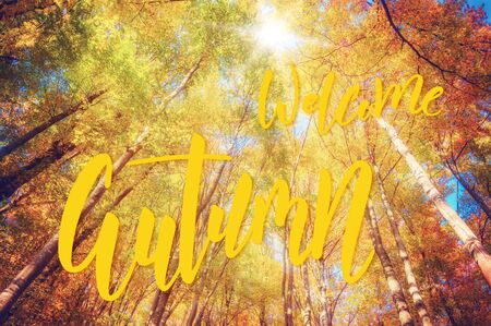 Autumn seasonal banner with bright forest and hand lettering text Welcome Autumnの写真素材