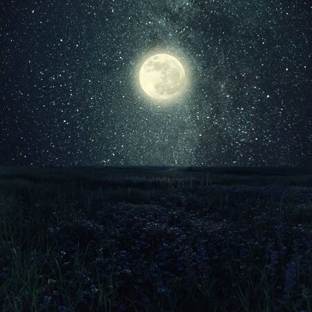 Night landscape with floral meadow, stars and distant galaxies above. Miky way and fool moonの写真素材