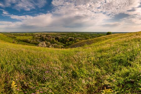 Summer landscape with flowers on hill at sunny day, clouds in sky. Floral meadow with grassの写真素材