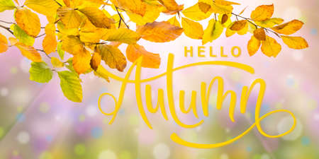 Nature autumn background with golden foliage and hand lettering textの写真素材