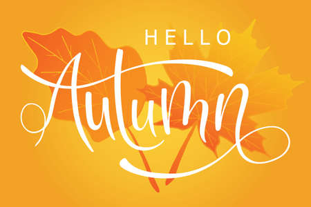 Hello Autumn brush hand lettering text with leaves for greeting card or banner. Modern calligraphy slogan, vector EPS 10のイラスト素材