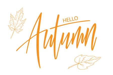 Hello Autumn brush hand lettering text isolated for greeting card or banner. Modern calligraphy slogan, vectorのイラスト素材