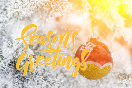 Christmas and New Year holiday card with hand lettering textの写真素材