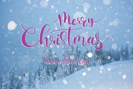 Winter landscape with snowfall in woodland and hand lettering text Merry Christmas, all trees covered with white snow.の写真素材