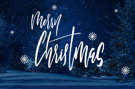 Beautiful winter landscape with snow covered trees on a clear night and hand lettering text Merry Christmasの写真素材