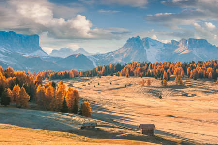 Fine autumn landscape with mountains and bright fall trees. Majestic skyの写真素材