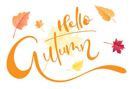 Hello Autumn brush hand lettering text isolated for greeting card or banner with fall leaves. Modern calligraphy slogan, vector EPS 10のイラスト素材