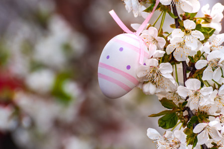 Happy easter painted eggs on cherry branch with flowers, holiday background for your card. Egg hunt, copy spaceの写真素材