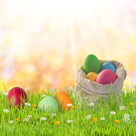 Easter nature holiday card with eggs and flowersの写真素材