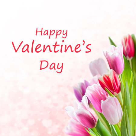 Beautiful Valentines day background with tulip flowers and lettering text, holiday cardの写真素材