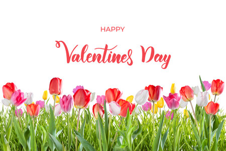 Valentine day holiday background with tulip flowers and hand lettering textの写真素材