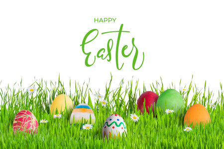 Easter eggs in grass with flowers isoleted on white background, for your designの写真素材