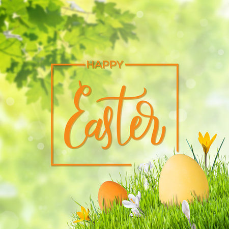 Painted eggs and flowers in green grass, Easter holiday backgroundの写真素材
