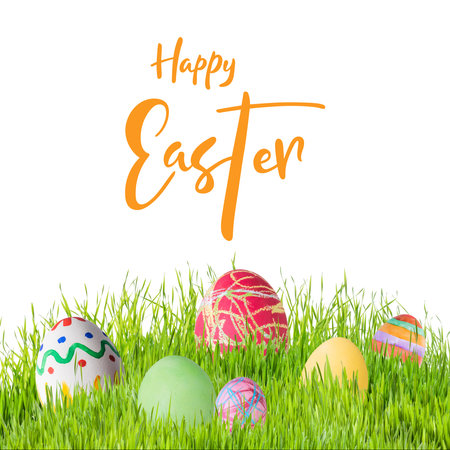 Easter eggs in grass isoleted with hand lettering on white background, for your designの写真素材