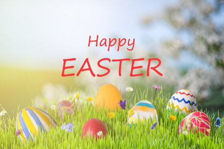 Easter banner with wild flowers and eggs in grass, holiday backgroudの写真素材