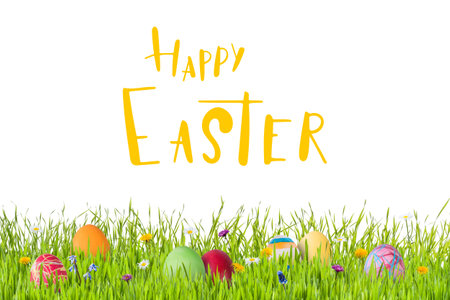 Easter eggs in grass isoleted with hand lettering text on white background, for your designの写真素材
