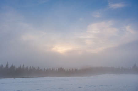 Winter landscape with foggy forest and clouds in evening skyの写真素材