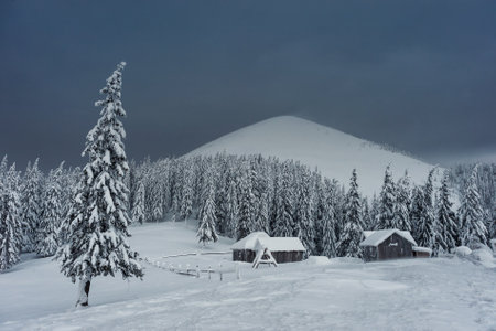 Winter evening in wood on mountains, all trees covered with white snow, Christmas landscape. Beautiful frost woodland. Vintage stylization, retro film filterの写真素材