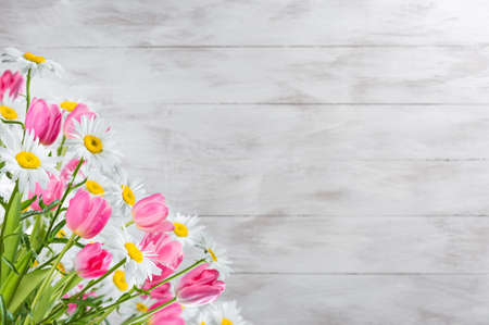 Holiday greetings card with tulip and chamomile flowers and place for your textの写真素材