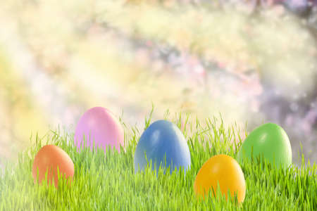 Easter colorful card with painted eggs in grass, holiday background for your design. Egg huntの写真素材