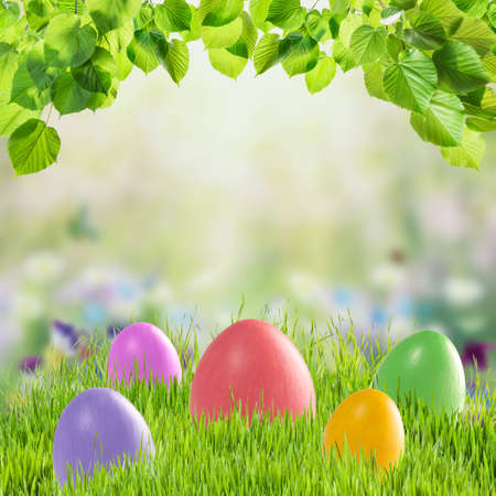 Easter colorful card with painted eggs in grass, holiday background for your design. Egg huntの写真素材