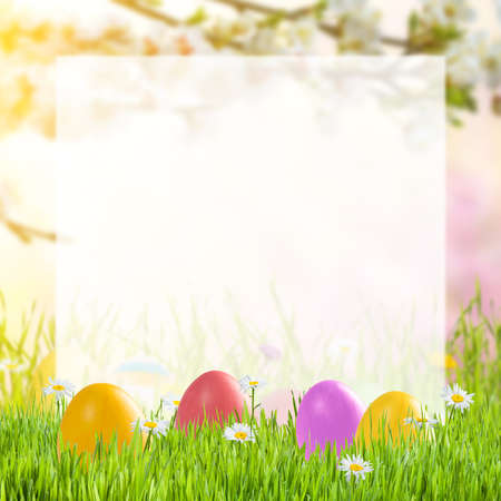 Holiday Easter card with painted eggs and place for your text on white sheetの写真素材