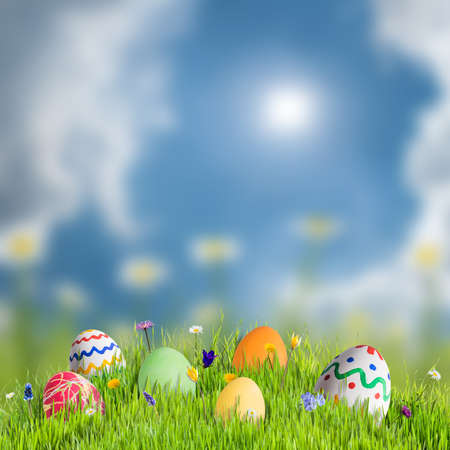 Easter holiday card with colorful eggs in floral meadow and place for your textの写真素材
