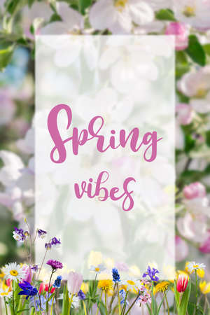 Seasonal nature background with different flowers and white sheet with Spring vibes lettering text
