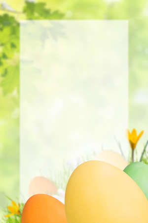 Holiday Easter card with painted eggs and place for your text on white sheetの写真素材