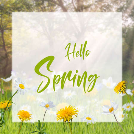 Seasonal nature card with flowers and white sheet with Hello Spring lettering textの写真素材