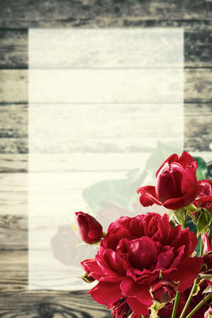 Spring greetings card with rose flowers and place for your text on white sheetの写真素材