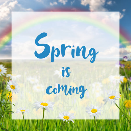 Nature card with chamomile flowers and white sheet with Spring is coming lettering textの写真素材