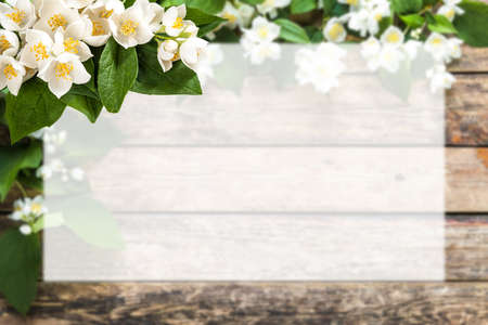 Spring greetings card with jasmine flowers and place for your text on white sheetの写真素材