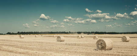 Agricultural panorama with haystacks on wheat fieldの写真素材