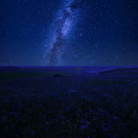 Beautiful night landscape with many stars over summer floral meadowの写真素材