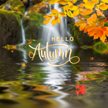 Autumn nature card with leaves and hand lettering text, fall creative desigh