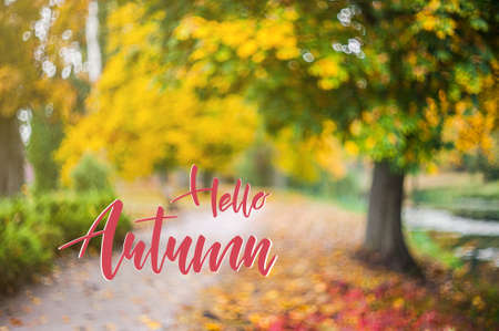 Autumn nature card with leaves and hand lettering text, fall creative desighの写真素材