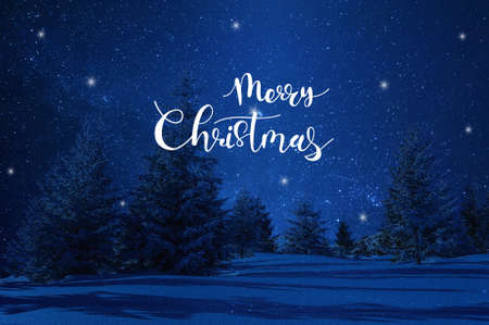 Winter landscape with Merry Christmas lettering text for greetings. Illustration holiday cardの写真素材