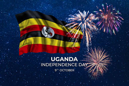 Holiday sky with fireworks and flag of Nigeria, independence dayの写真素材