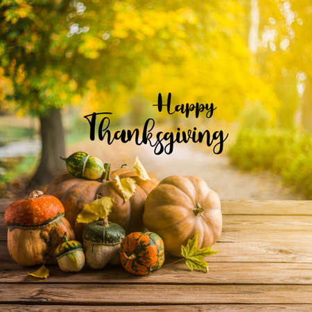 Happy Thanksgiving greeting card with lettering text on fall leaves.の写真素材
