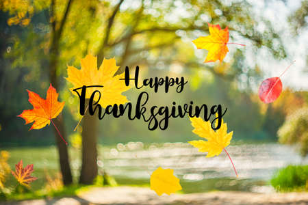 Happy Thanksgiving greeting card with lettering text on fall leaves.の写真素材