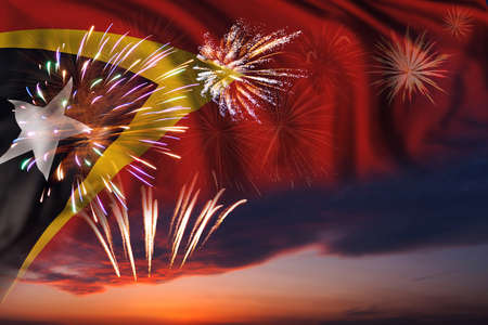 Majestic fireworks in evening sky Holiday night sky with fireworks and flag of East Timor for Independence dayの写真素材