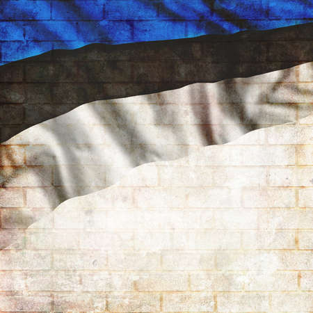 Vintage Estonia national flag with place for your text and designの写真素材
