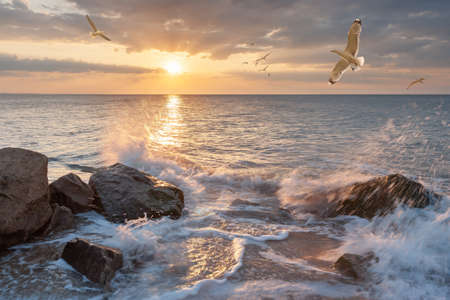 Summer landscape with splashing sea water on sunrise and seagulls in majestic skyの写真素材